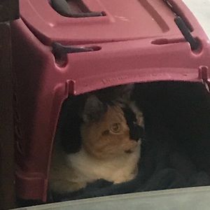 Meet your Posher, Trent